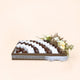 Cocoa Classic