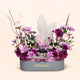 Magenta Bloom